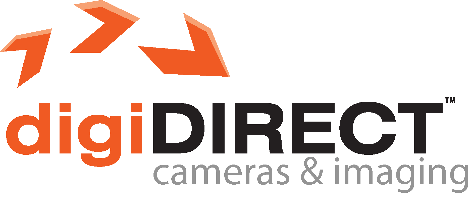 DDCI Logo Vector Logo
